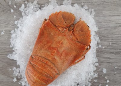 What type of seafood is popular at Christmas time?