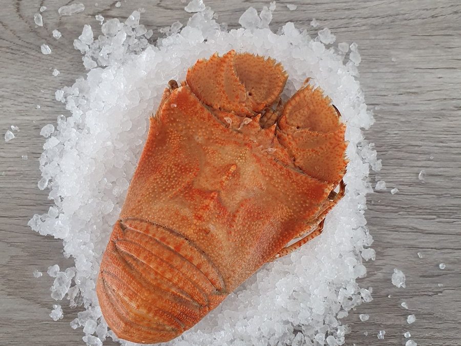 What type of seafood is popular at Christmas time?